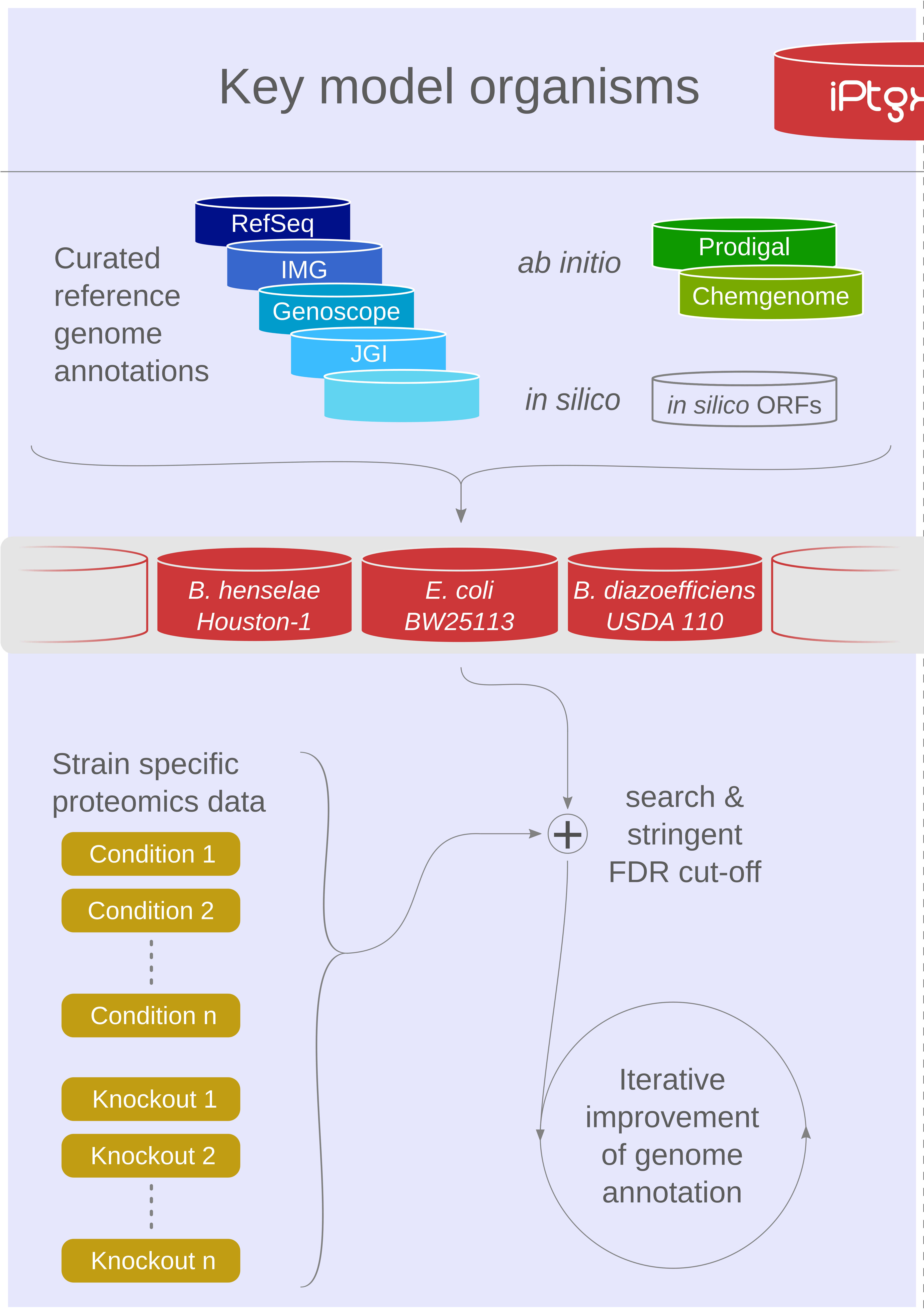 Key model organisms schema