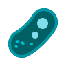 Bacteria icon